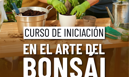 Arranca el nuevo curso de Iniciación al Arte del Bonsái, del 15 al 30 de noviembre de 2025