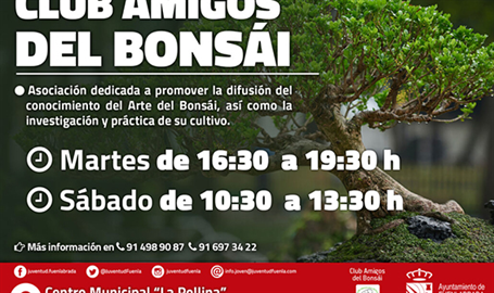 Club Amigos del Bonsái