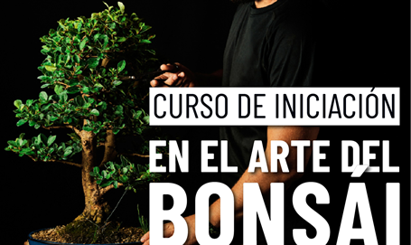 Curso de Iniciación al Arte del Bonsái 2026