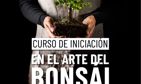 Nuevo curso de Iniciación al Arte del Bonsá