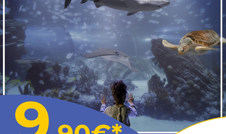 Precios especiales en Atlantis Aquarium por ser de Fuenlabrada