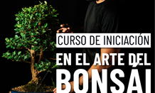 Curso de Iniciación al Arte del Bonsái 2026