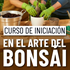 Arranca el nuevo curso de Iniciación al Arte del Bonsái, del 15 al 30 de noviembre de 2025