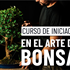 Curso de Iniciación al Arte del Bonsái 2026