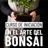 Nuevo curso de Iniciación al Arte del Bonsá